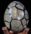 Septarian Dragon Egg Geode - Shiny Black Crystals #34716-1
